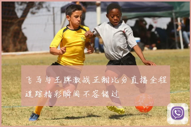 飞马与王牌激战正酣比分直播全程追踪精彩瞬间不容错过