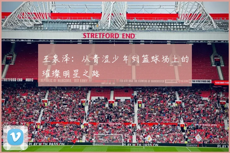 王泉泽：从青涩少年到篮球场上的璀璨明星之路