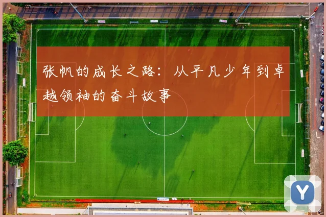 张帆的成长之路：从平凡少年到卓越领袖的奋斗故事