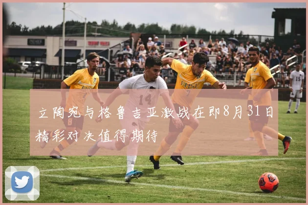 立陶宛与格鲁吉亚激战在即8月31日精彩对决值得期待
