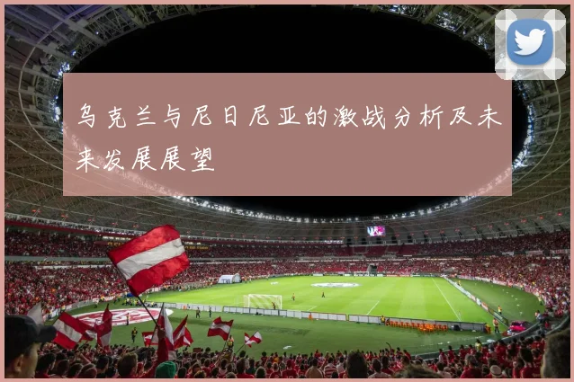 乌克兰与尼日尼亚的激战分析及未来发展展望